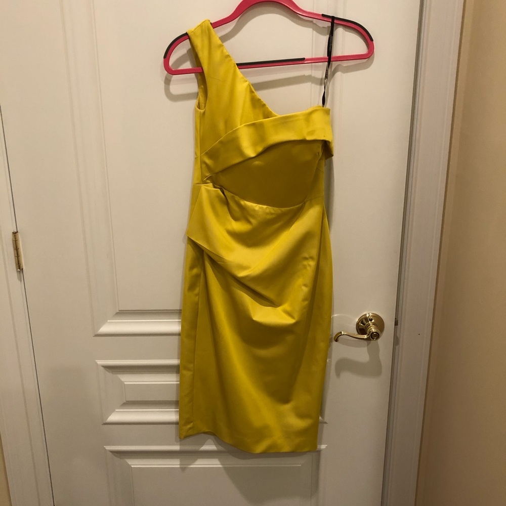 LELA ROSE Breathtaking Gold/Yellow  Dress - Picture 4 of 10